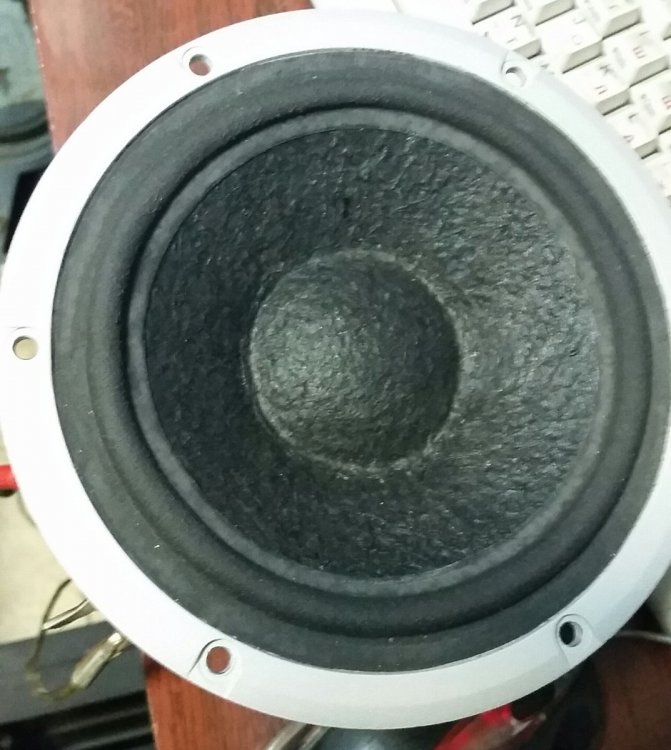 2018-05-08 08.15.39.jpg