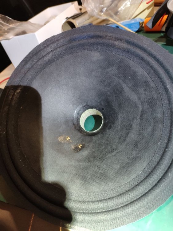 IMAGE 2023-03-17 17:13:13.jpg